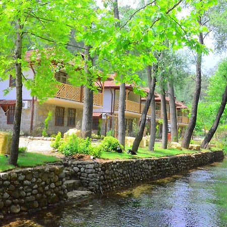 Отель Eco Family Park Beskonak Экстерьер фото