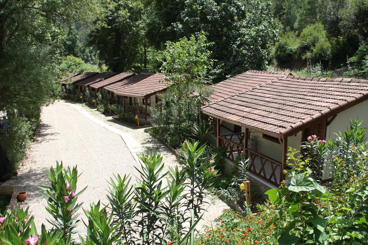Отель Eco Family Park Beskonak Экстерьер фото