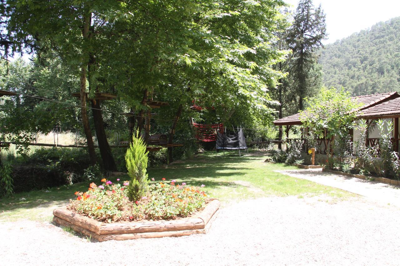 Отель Eco Family Park Beskonak Экстерьер фото