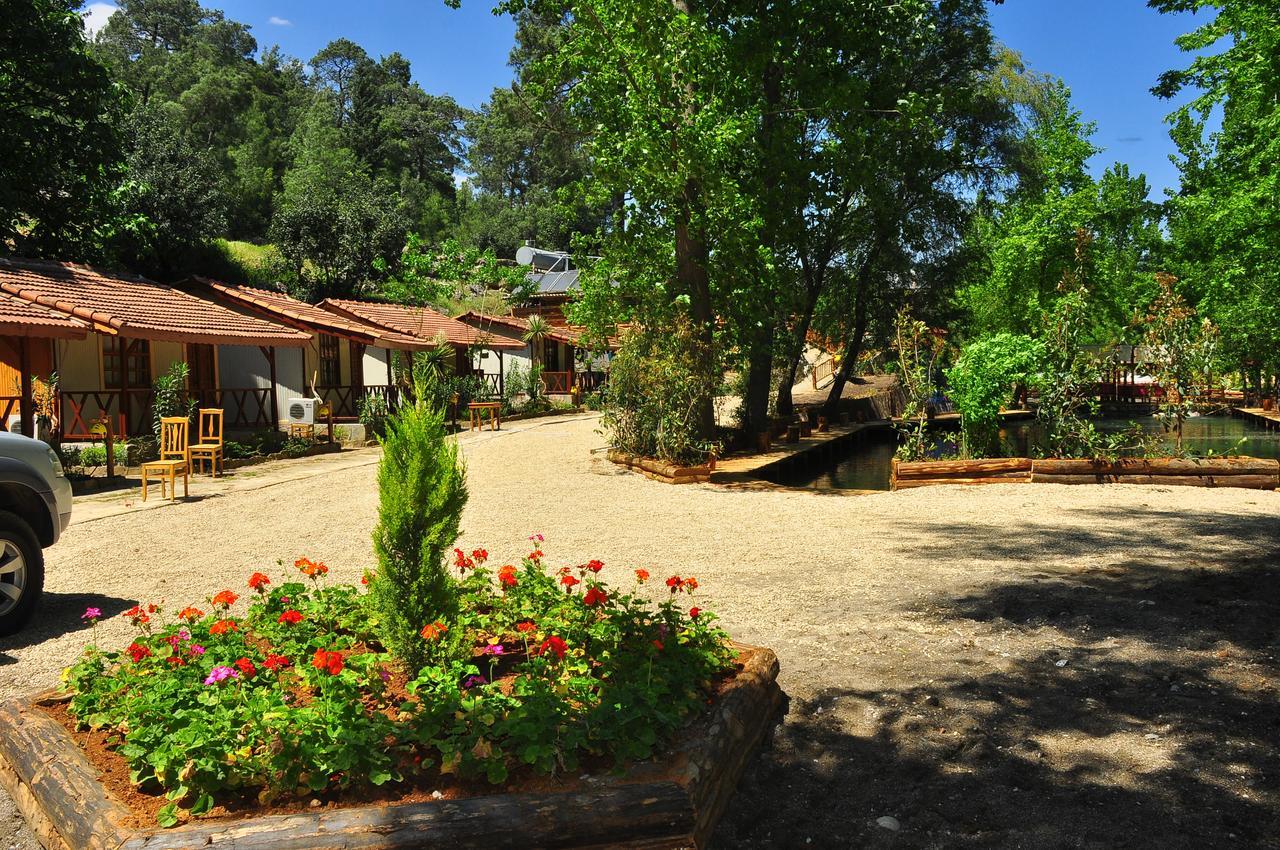 Отель Eco Family Park Beskonak Экстерьер фото