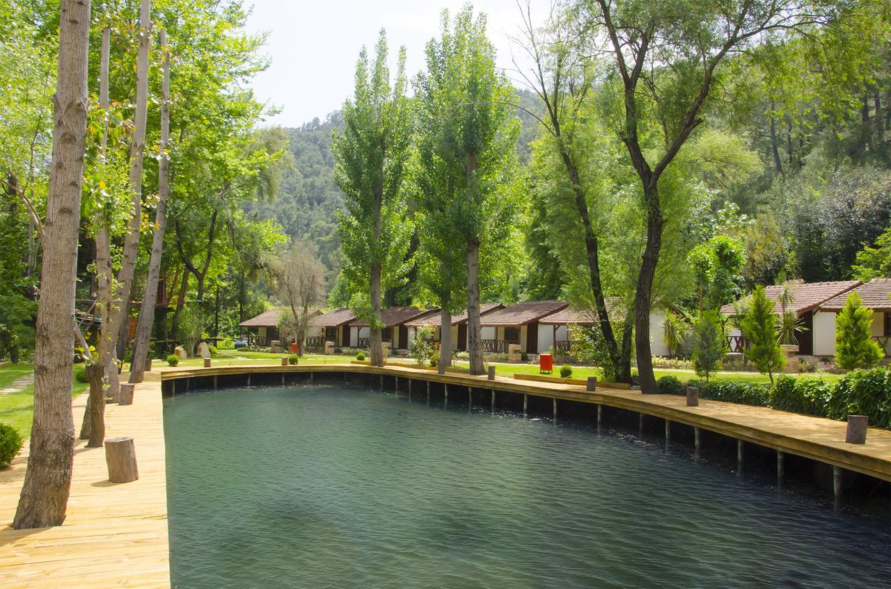 Отель Eco Family Park Beskonak Экстерьер фото